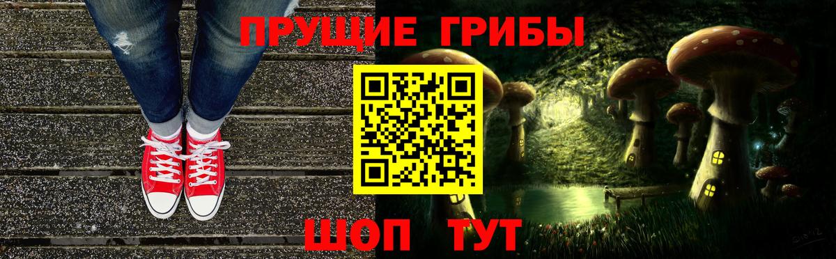 Галлюциногенные грибы Psilocybe Гусиноозёрск
